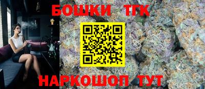 крисы Малгобек