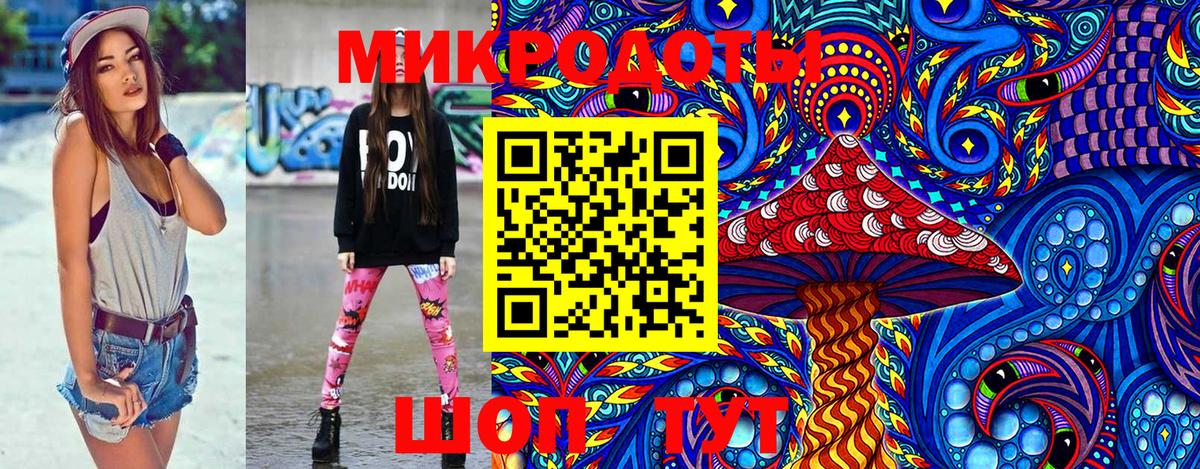 Псилоцибиновые грибы Psilocybe Шадринск