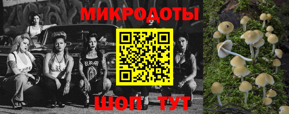 Псилоцибиновые грибы мицелий  Вход с VPN  Шадринск 